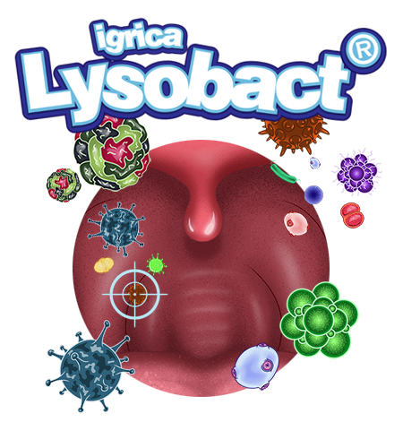 lysobact igrica